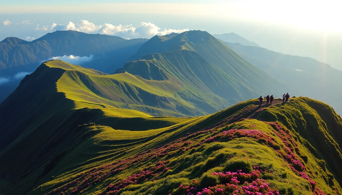 Majestic view of Mt. Rinjani’s volcanic summit rising above lush rainforest, hikers trekking along the trail with scenic mountain backdrop.
